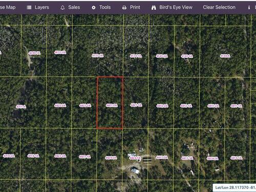 Listing